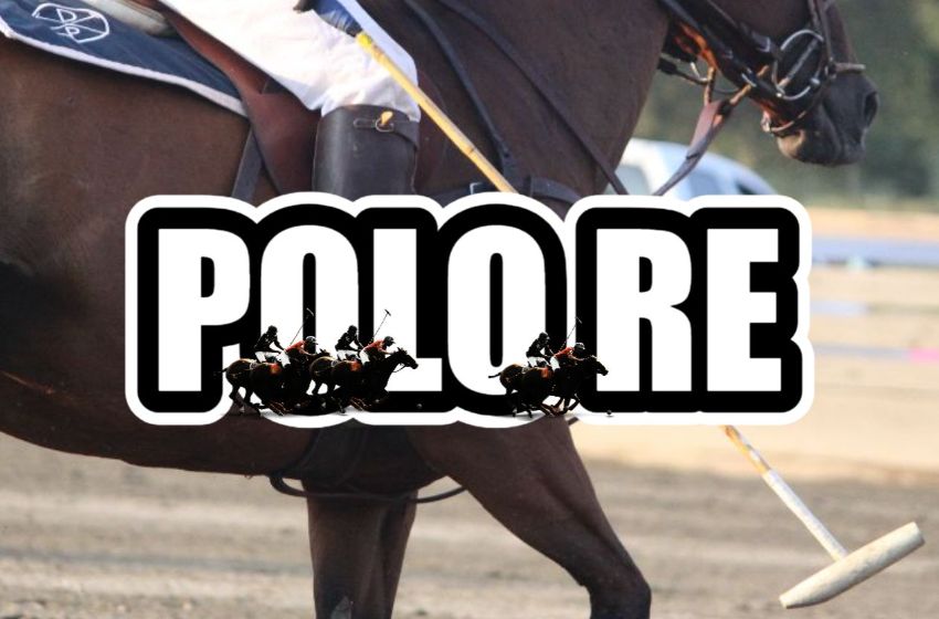  Discover Luxurious Living: PoloRE.com – The Official Website of Raith Properties’ Polo Properties
